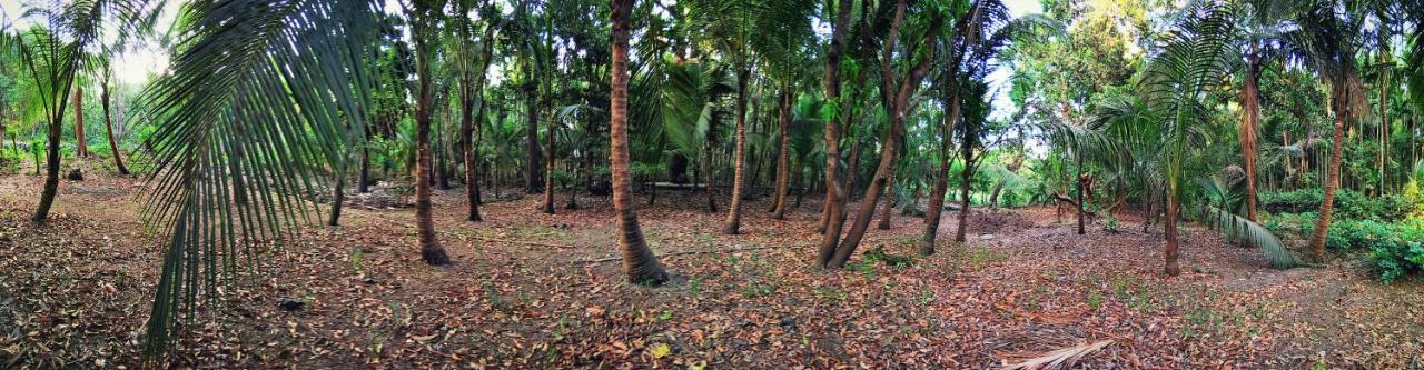 Nivaant @ Vicharays Apartment Alibag Bagian luar foto