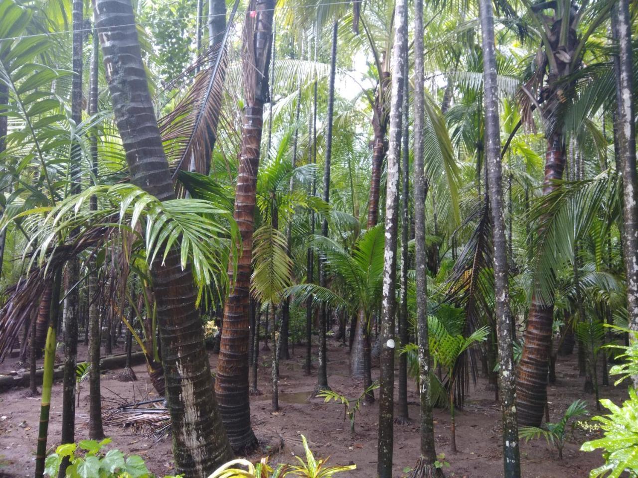 Nivaant @ Vicharays Apartment Alibag Bagian luar foto